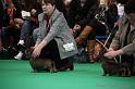 Crufts2011_2 1103